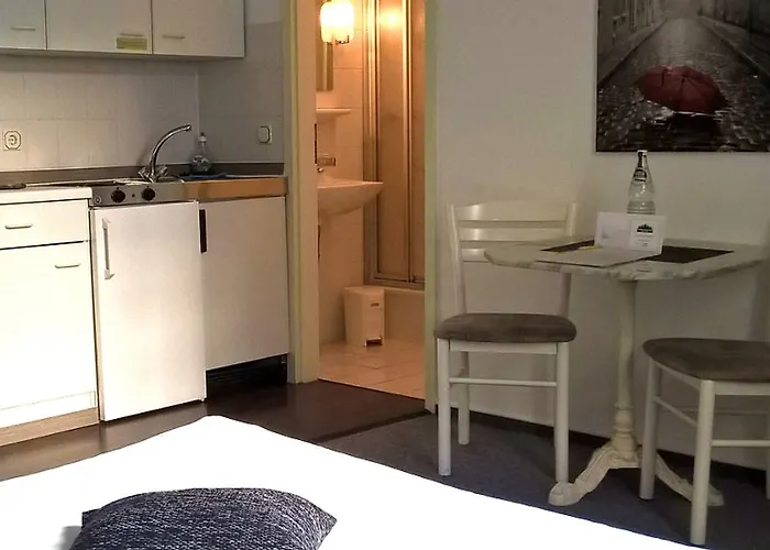 公寓式酒店 Appartementhaus Am Dom